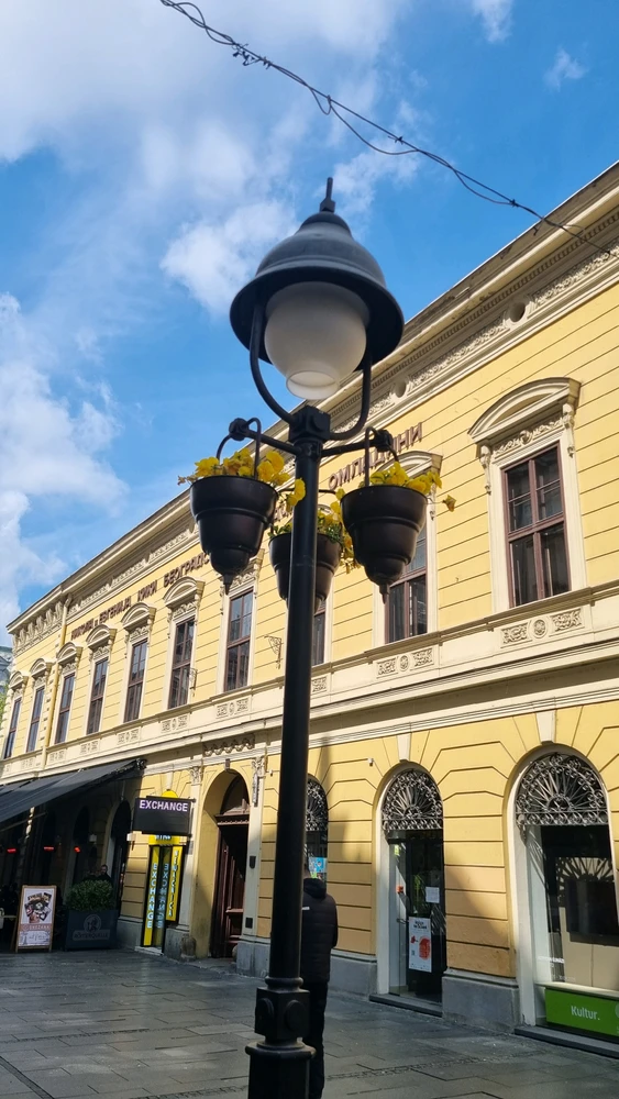 Immaġni mtellgħa minn Mila