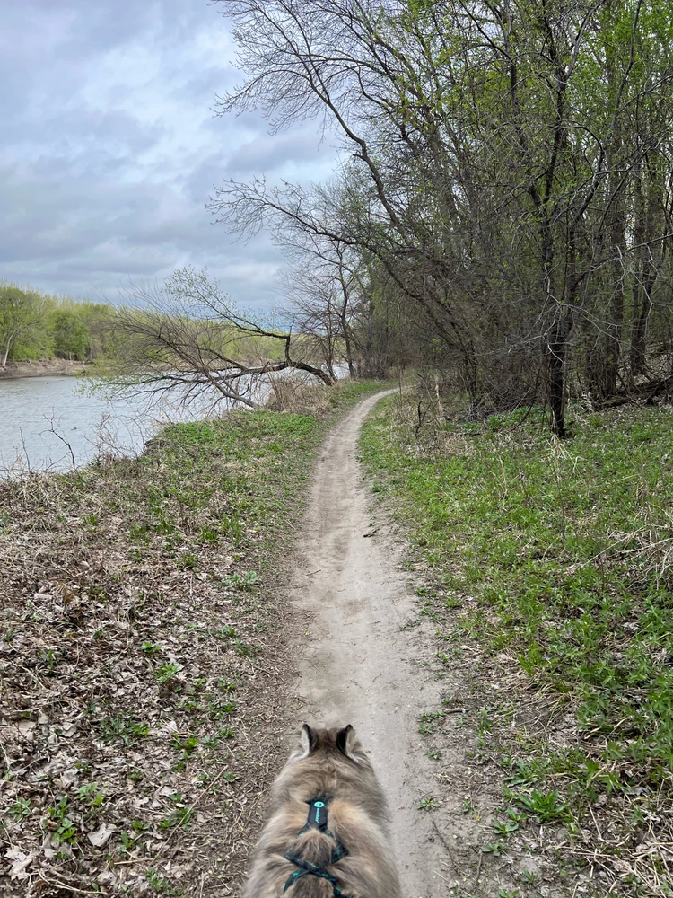 GIF uploaded by Justin