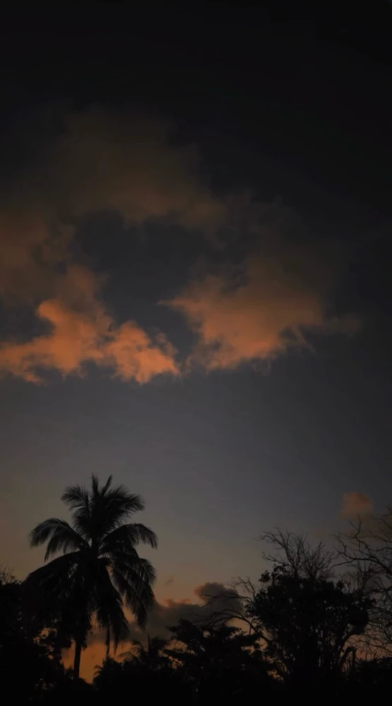 GIF uploaded by Zayan