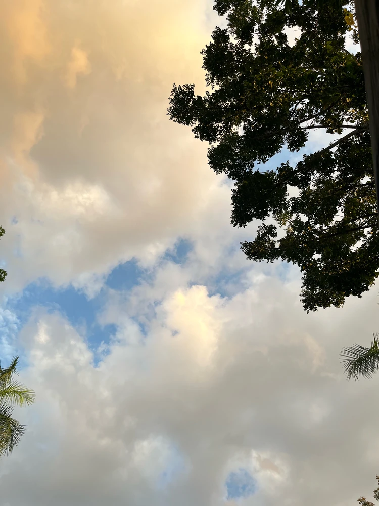 Image uploaded by Hei