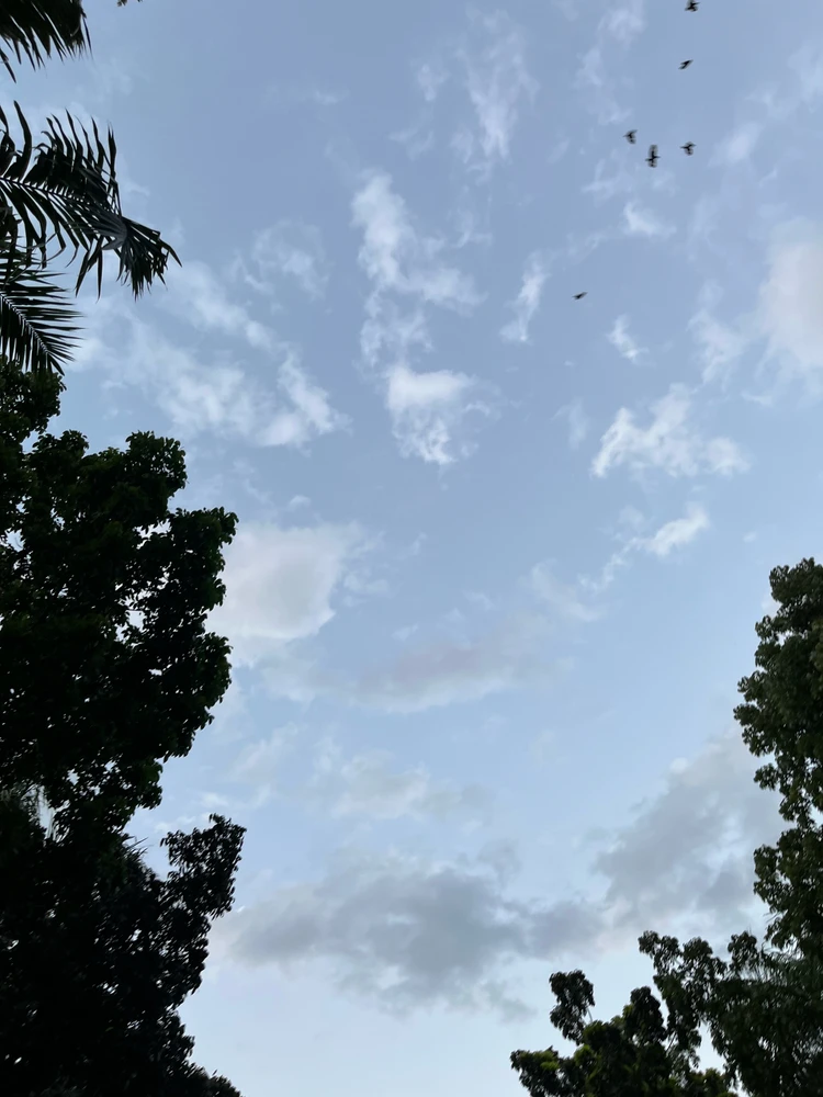 Image uploaded by Hei