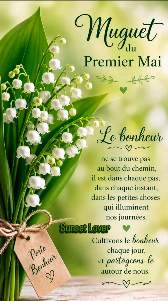 Image ajoutée par Matthieu