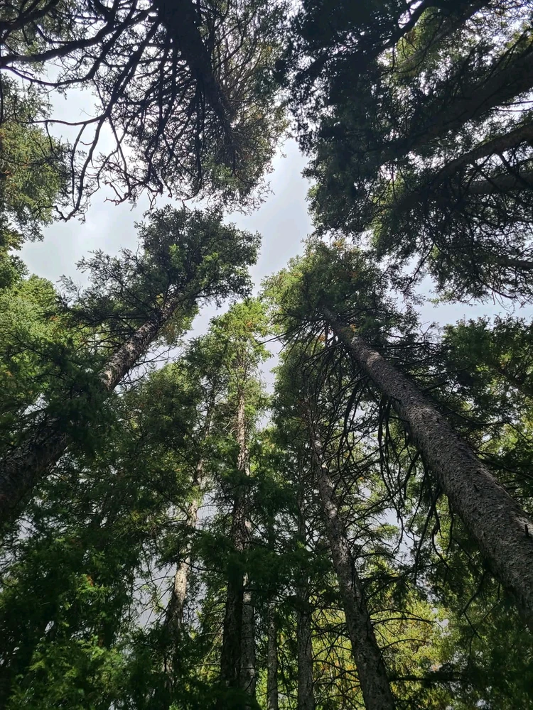 GIF uploaded by Lex