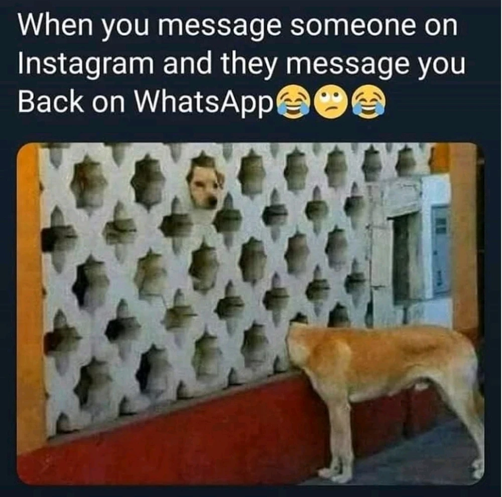 GIF uploaded by Suman