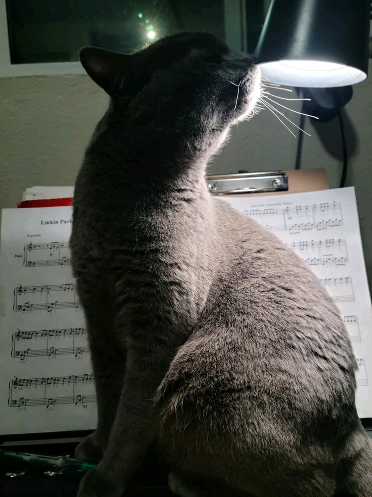 GIF uploaded by Lex