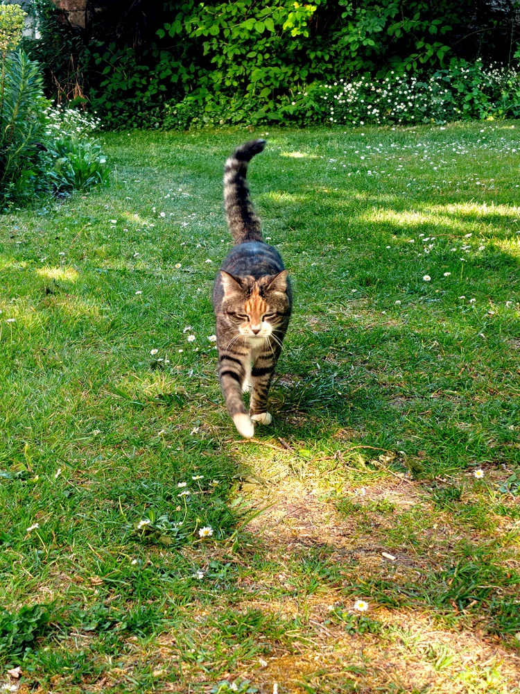GIF uploaded by Kostiantyn