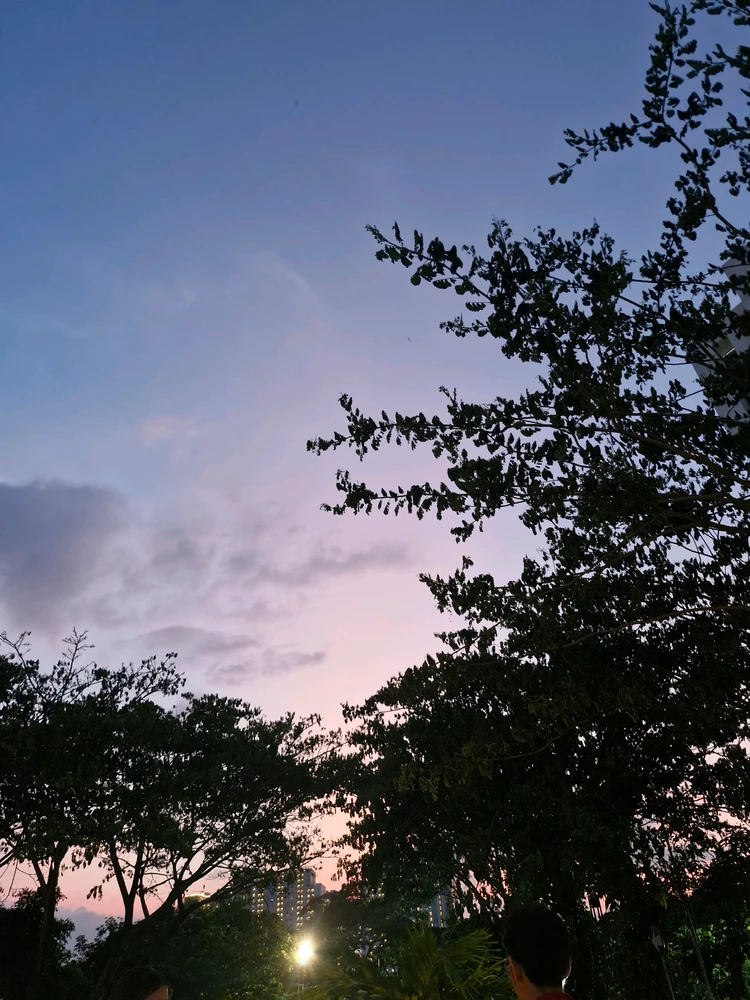 Image uploaded by alvi