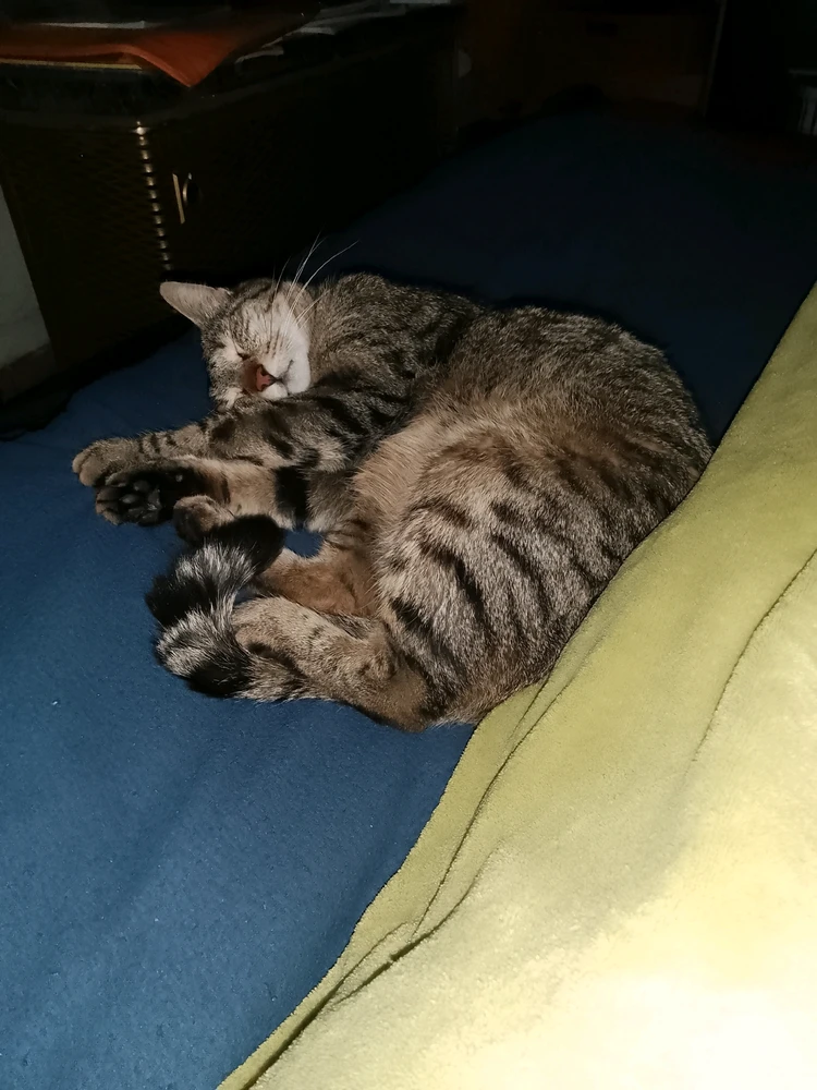 GIF uploaded by Marcus