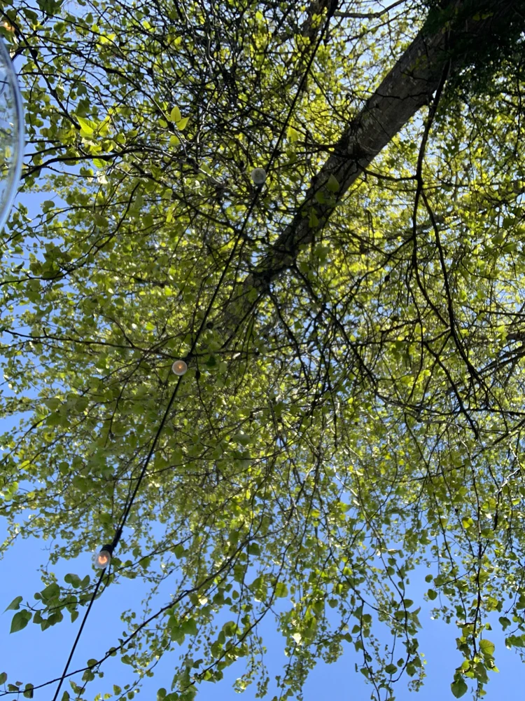 GIF uploaded by Ada