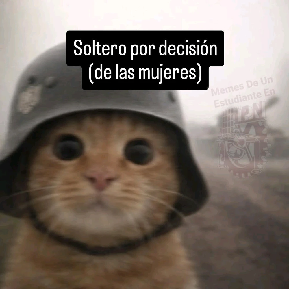 GIF enviado por Nathan