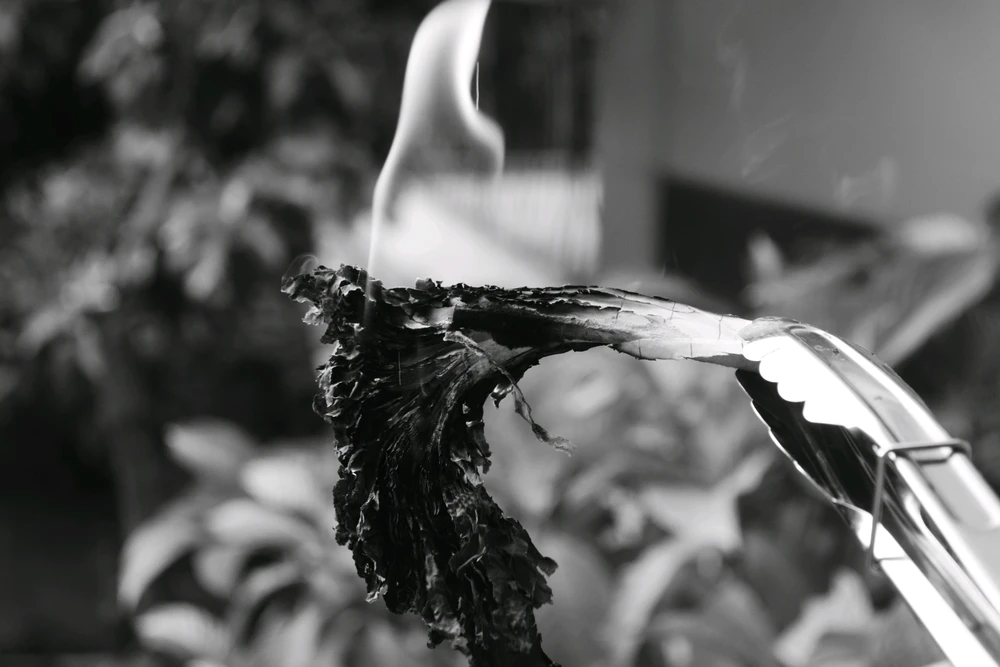 GIF uploaded by S