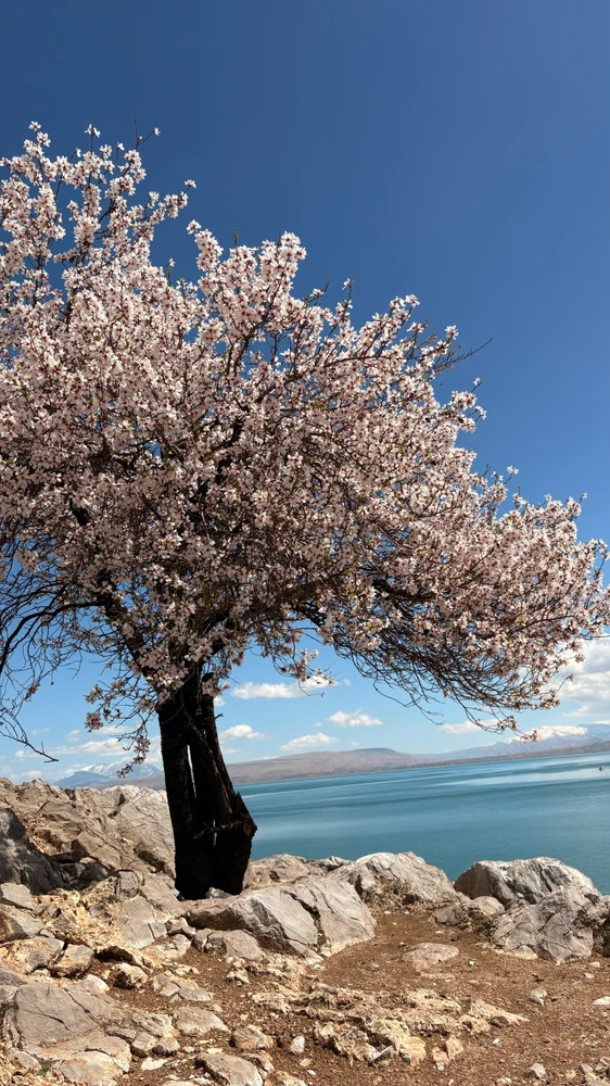 GIF uploaded by İdris