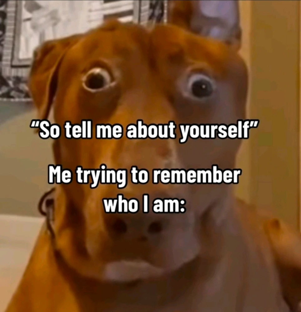 GIF uploaded by Pinaa