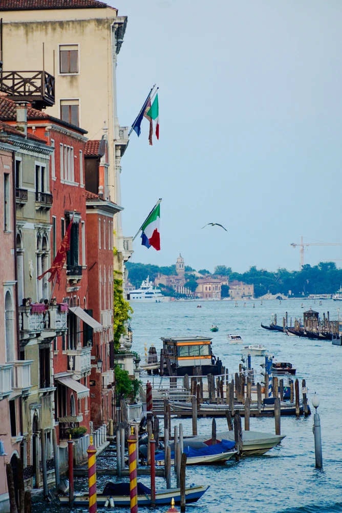 GIF uploaded by Amina Shafeeq