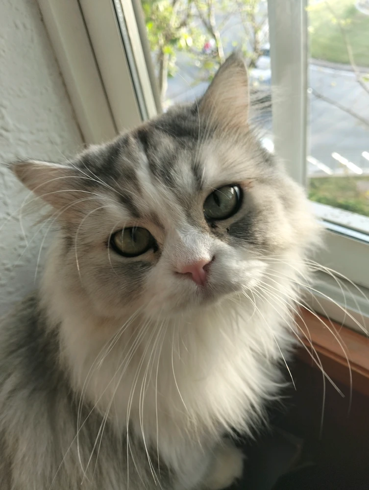 GIF uploaded by Yo