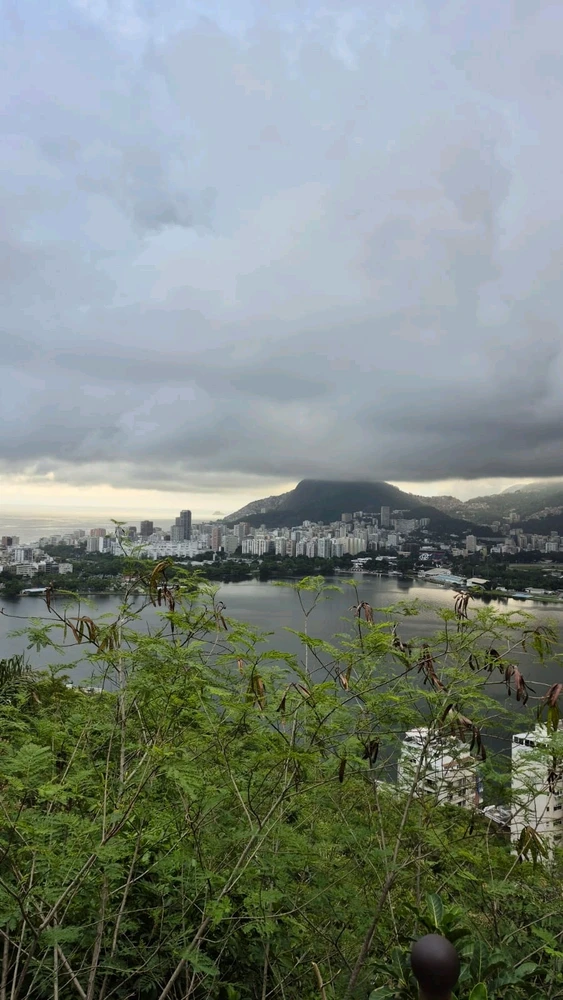 Image uploaded by Nicollas A