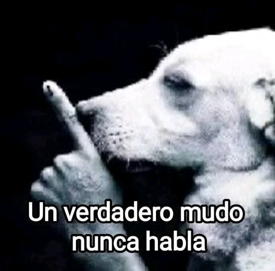 GIF uploaded by Pablo