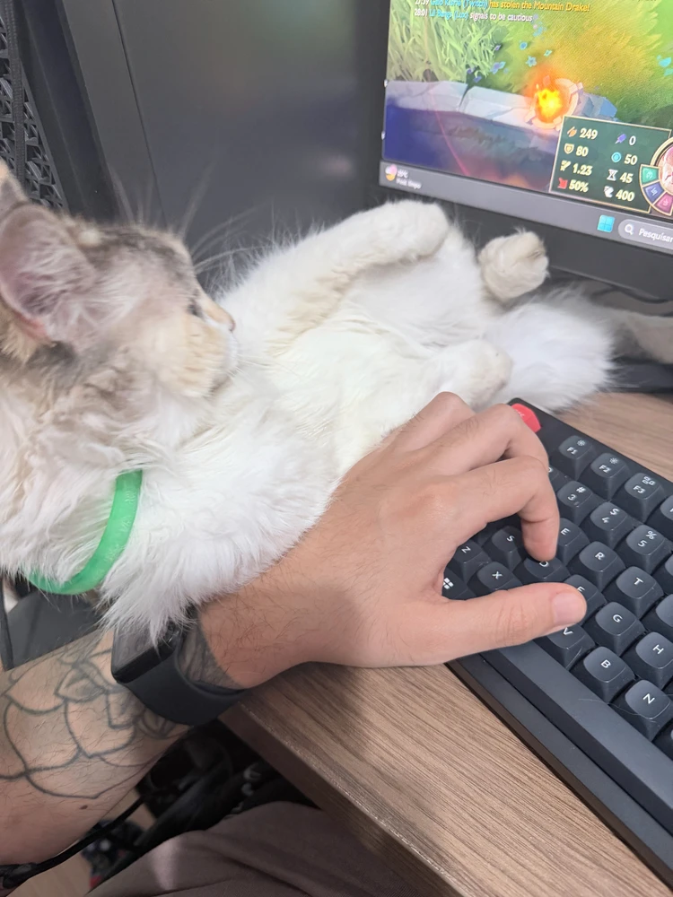 GIF enviado por Eduardo