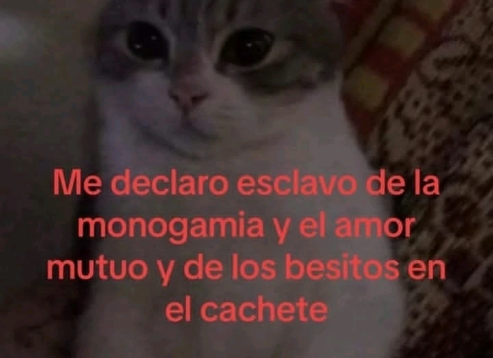 GIF subido por Daniela