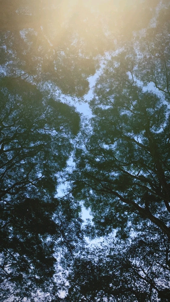 GIF subido por Daniel