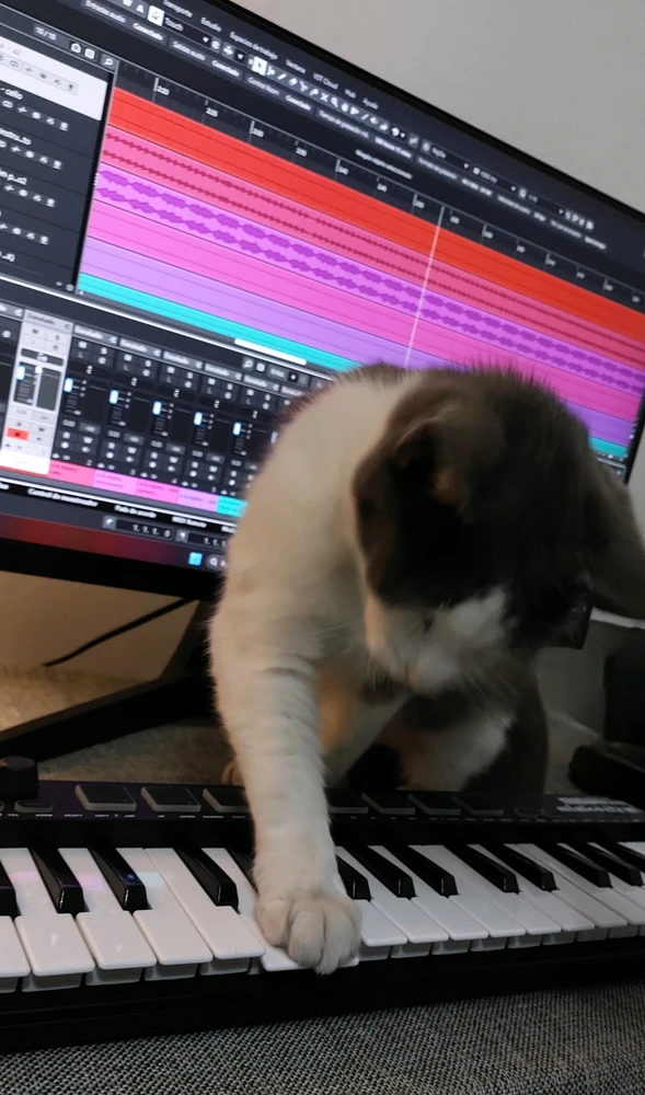 Joel 上傳的 GIF
