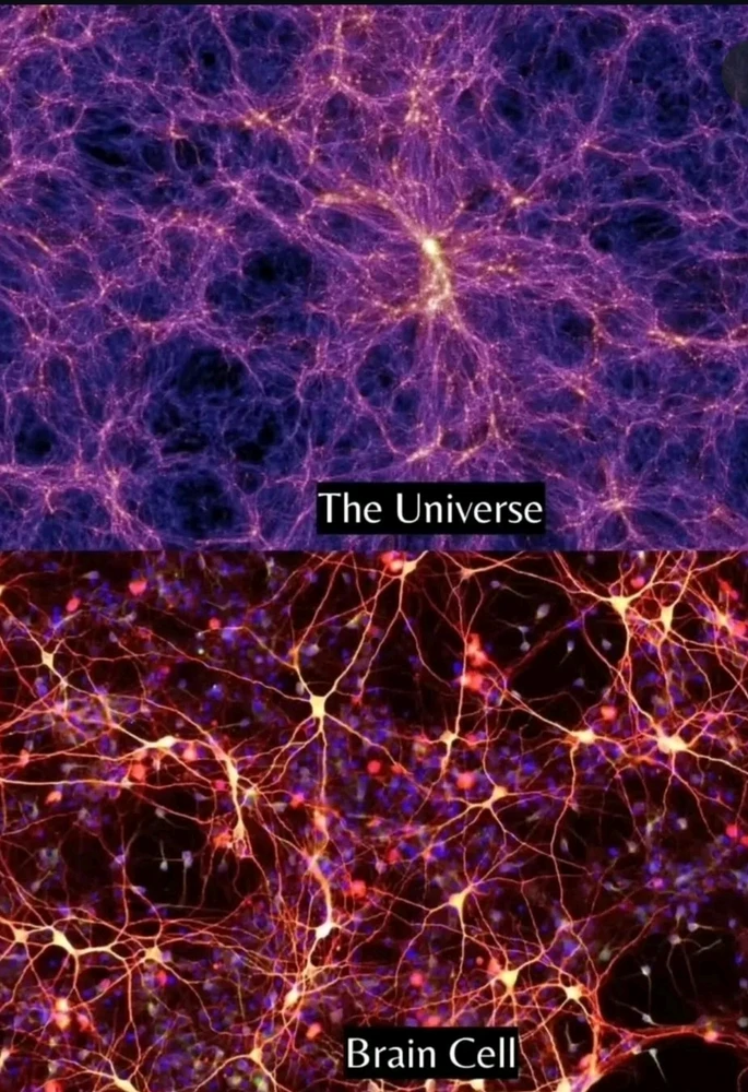Image uploaded by KingPapi