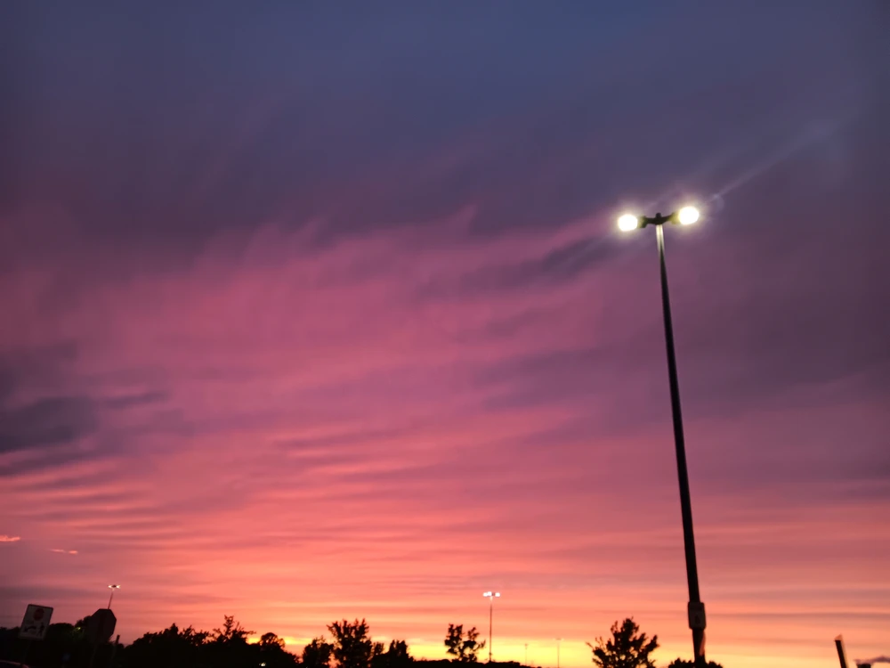 Image uploaded by Megan Delaney