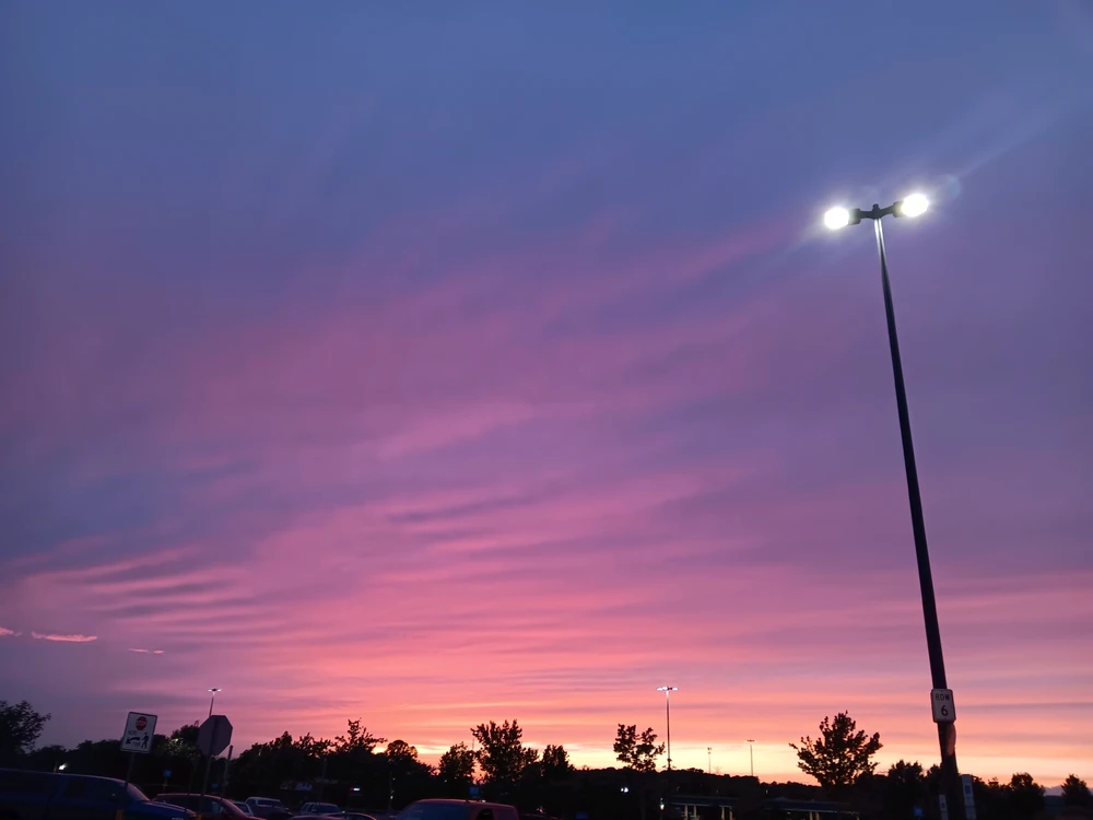 Image uploaded by Megan Delaney