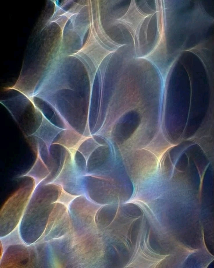 Image uploaded by Mad