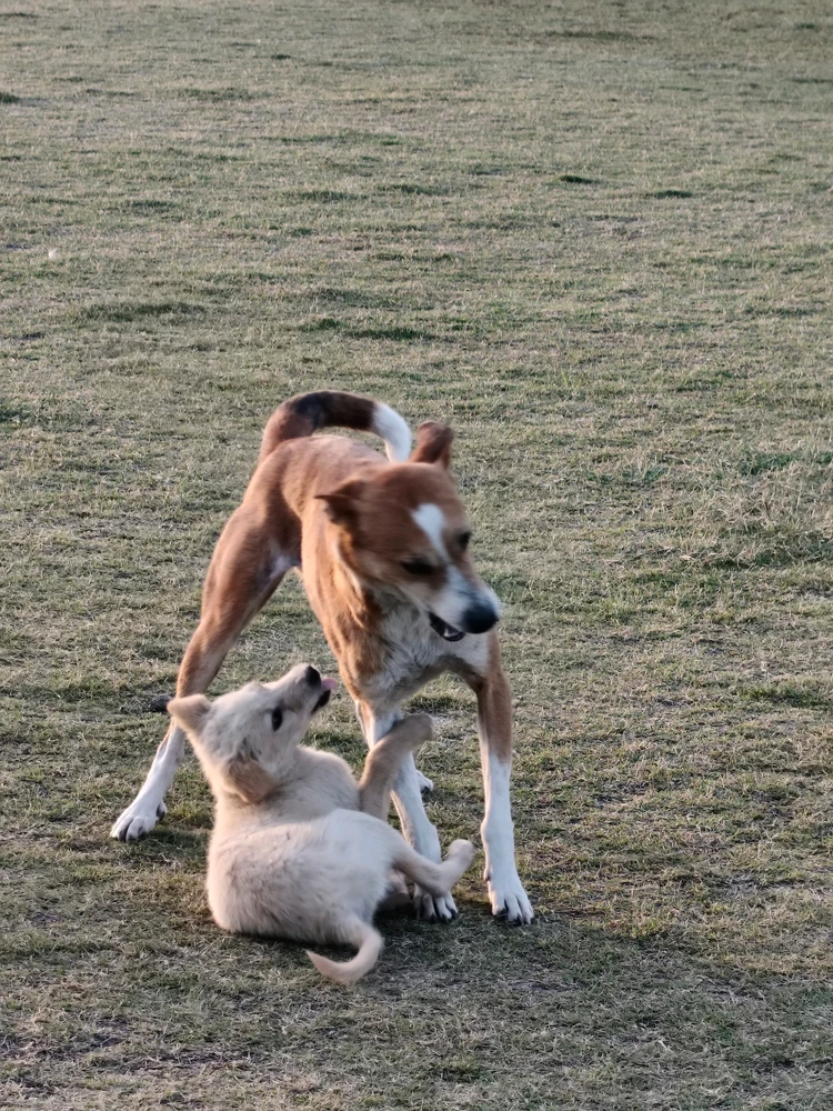 GIF uploaded by Rajat