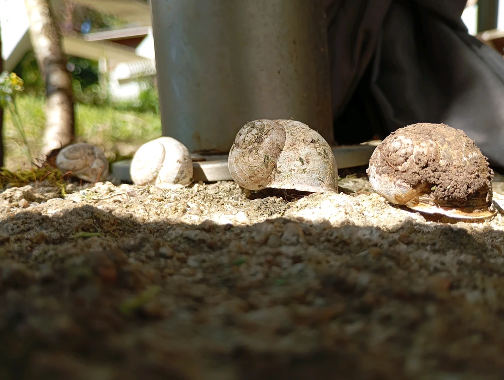 Image ajoutée par Léo
