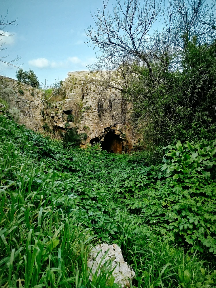 Image uploaded by Αναστασης