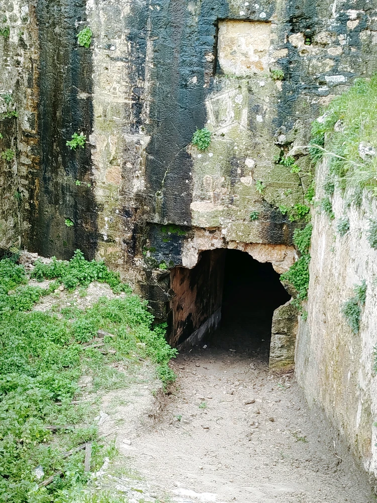 Image uploaded by Αναστασης