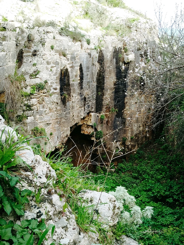 Image uploaded by Αναστασης