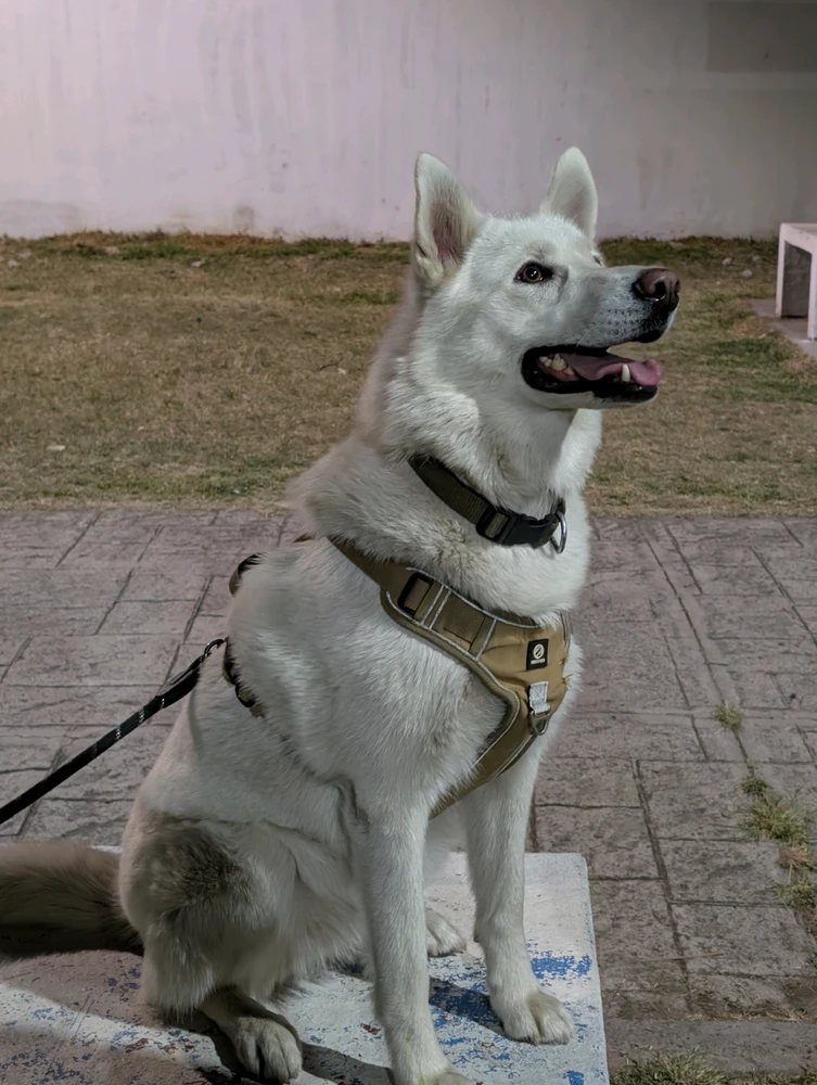 Image uploaded by Leo