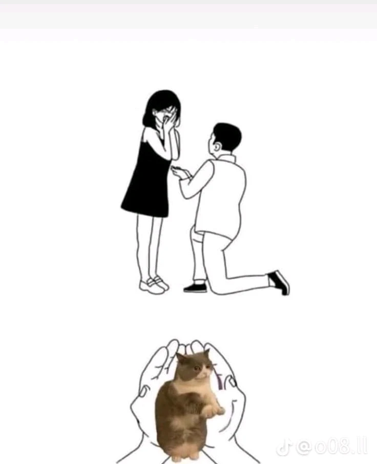 GIF uploaded by Nwar