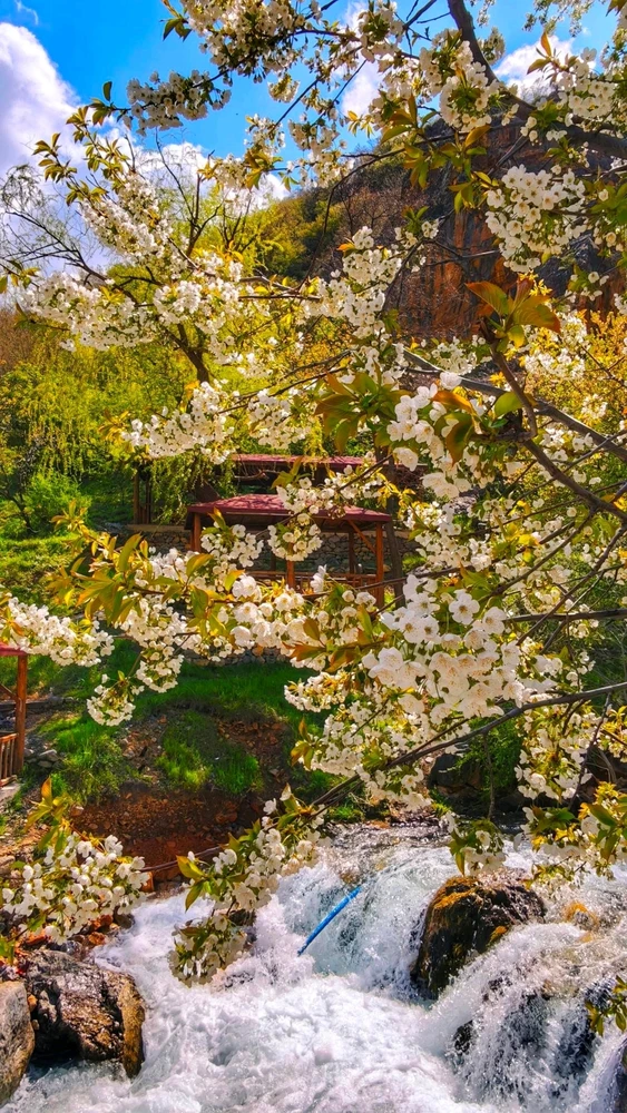 Burak tarafından yüklenen GIF