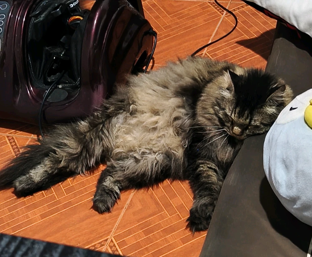 GIF uploaded by Kan(⁠≧⁠▽⁠≦⁠)カンイヤーeleanor