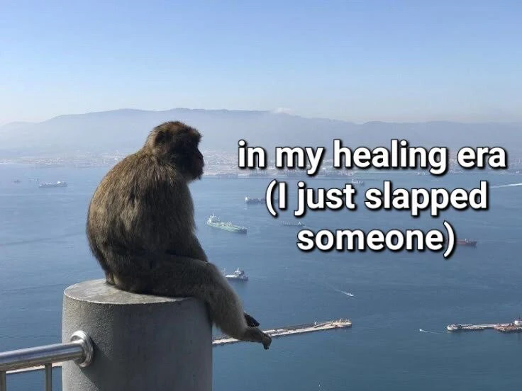 GIF uploaded by Anina