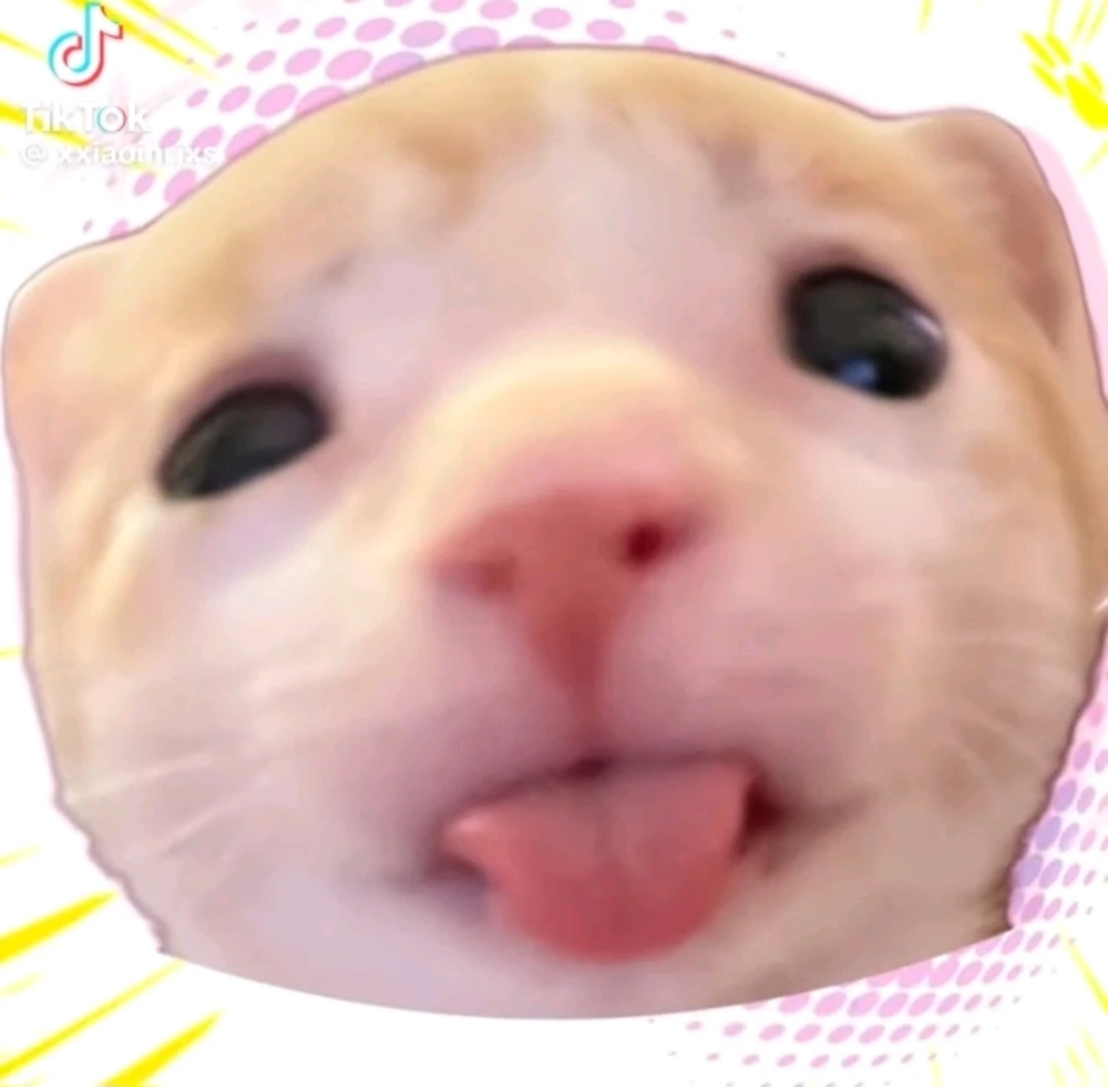 GIF uploaded by Minami
