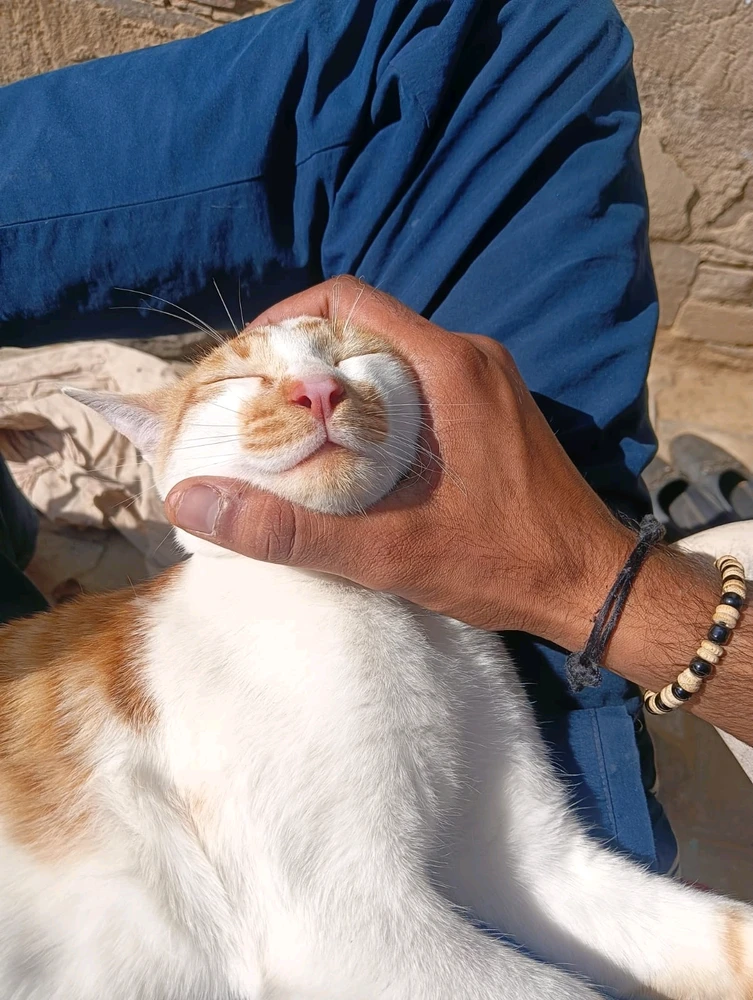 Image uploaded by Akhalesh
