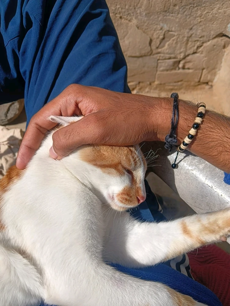 Image uploaded by Akhalesh