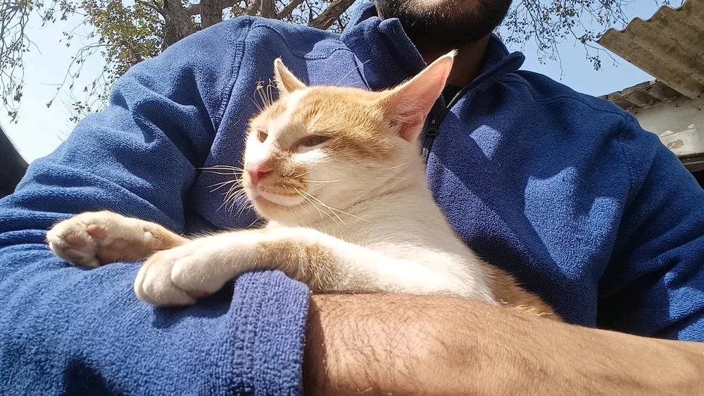 Image uploaded by Akhalesh