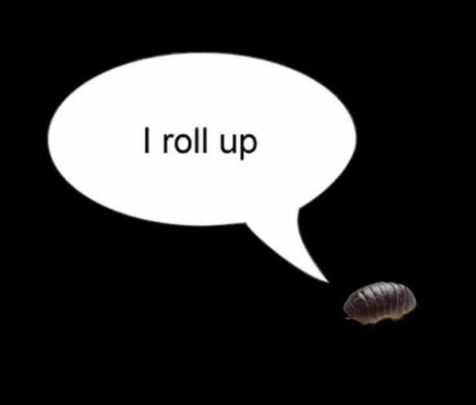 GIF uploaded by Dylan