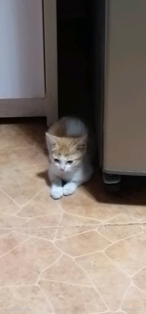 GIF uploaded by Daisy H