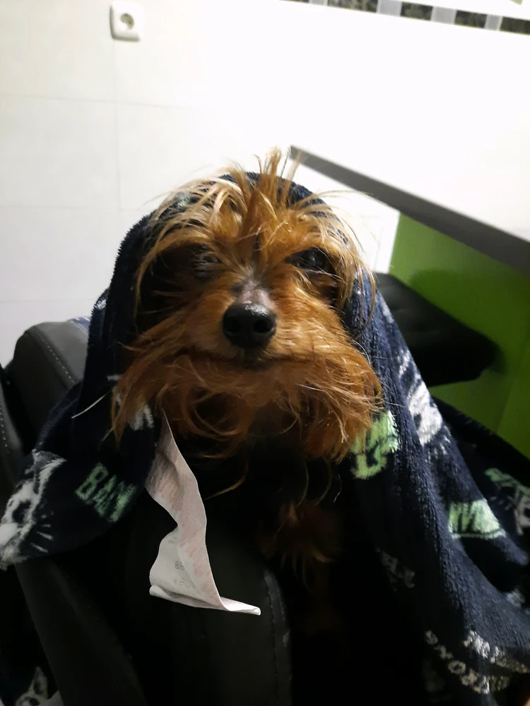 GIF subido por Mio