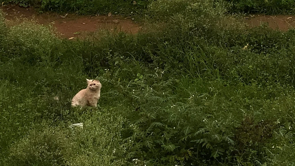 GIF uploaded by Nior