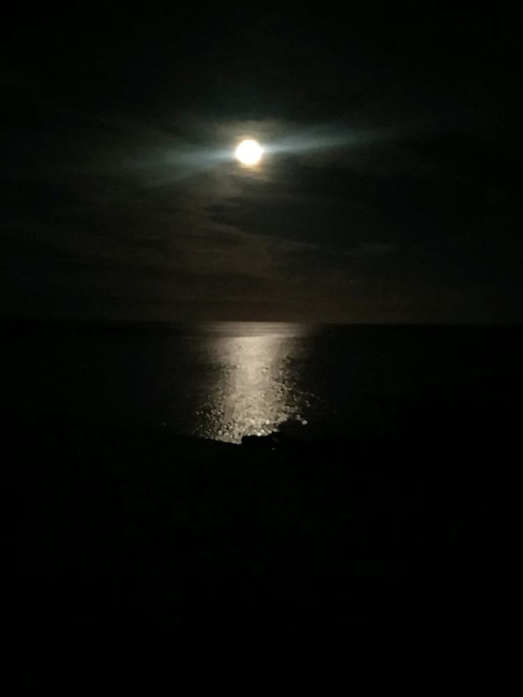 GIF tso los ntawm DezzieDee