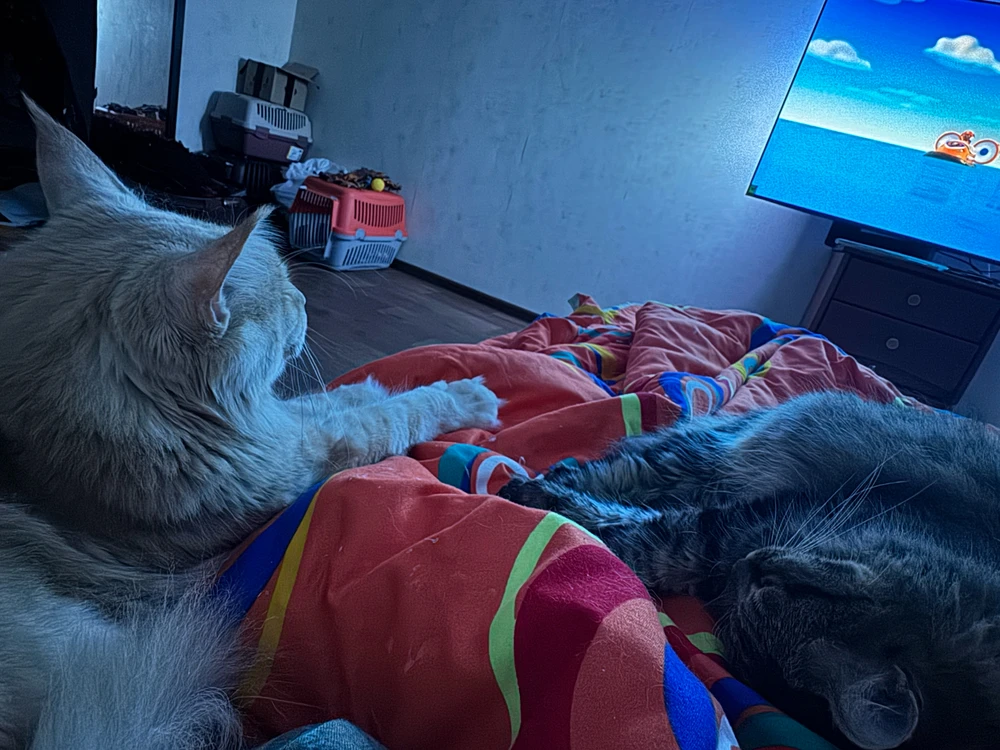 GIF uploaded by Miya