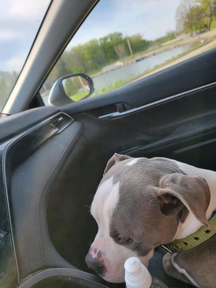 Image uploaded by Taylor Jorgensen